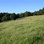 Rolling Hills - Southern Highlands