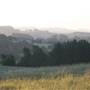 Rolling Hills - Southern Highlands