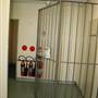 Parramatta Correctional Centre