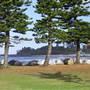 Port Macquarie Area