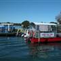 Port Macquarie Area