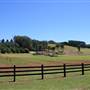 Plantations - Friday Hut Road