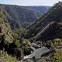 Tia Falls