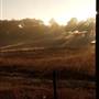 Uralla