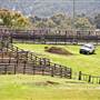 Walcha