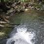 Terania Creek picnic area & Protesters Falls walking track