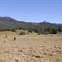 Tweed - McKenzie Property