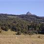 Tweed - McKenzie Property