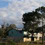 Tweed River - Tumbulgum