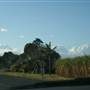 Tweed River - Tumbulgum