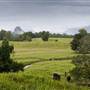 Tweed Valley 1 of 2