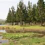 Clarrie Hall Dam