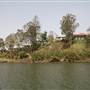 Tweed River - Murwillumbah