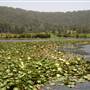 Clarrie Hall Dam