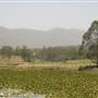 Clarrie Hall Dam
