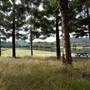 Tweed Valley 1 of 2
