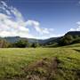 Tweed Valley 1 of 2