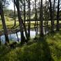 Tweed Valley 1 of 2