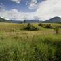 Tweed Valley 1 of 2