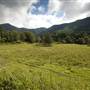 Tweed Valley 1 of 2