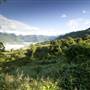 Tweed Valley 1 of 2