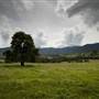 Tweed Valley 1 of 2