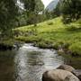Tweed Valley 1 of 2