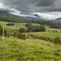 Tweed Valley 1 of 2