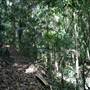 Upper Crystal Creek