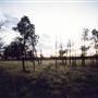 Parkes