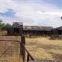 The Springs Homestead - Dubbo