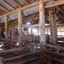 The Springs Homestead - Dubbo