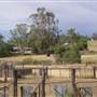 The Springs Homestead - Dubbo
