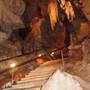 Wellington Caves Complex