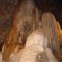 Wellington Caves Complex