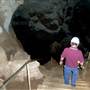 Wellington Caves Complex