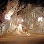 Wellington Caves Complex