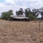 West Wyalong