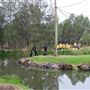 Taronga Western Plains Zoo - Dubbo