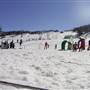 Perisher