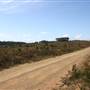 Penrose State Forest - Southern Highlands