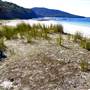 Pebbly Beach