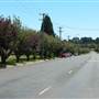Robertson - Southern Highlands
