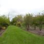 Red Cow Farm - Southern Highlands