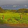 Robertson - Southern Highlands