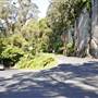Robertson - Southern Highlands