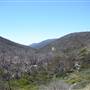 Snowy Mountains - Semi-Dry Steppes