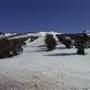 Thredbo