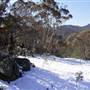 Thredbo