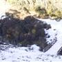 Thredbo
